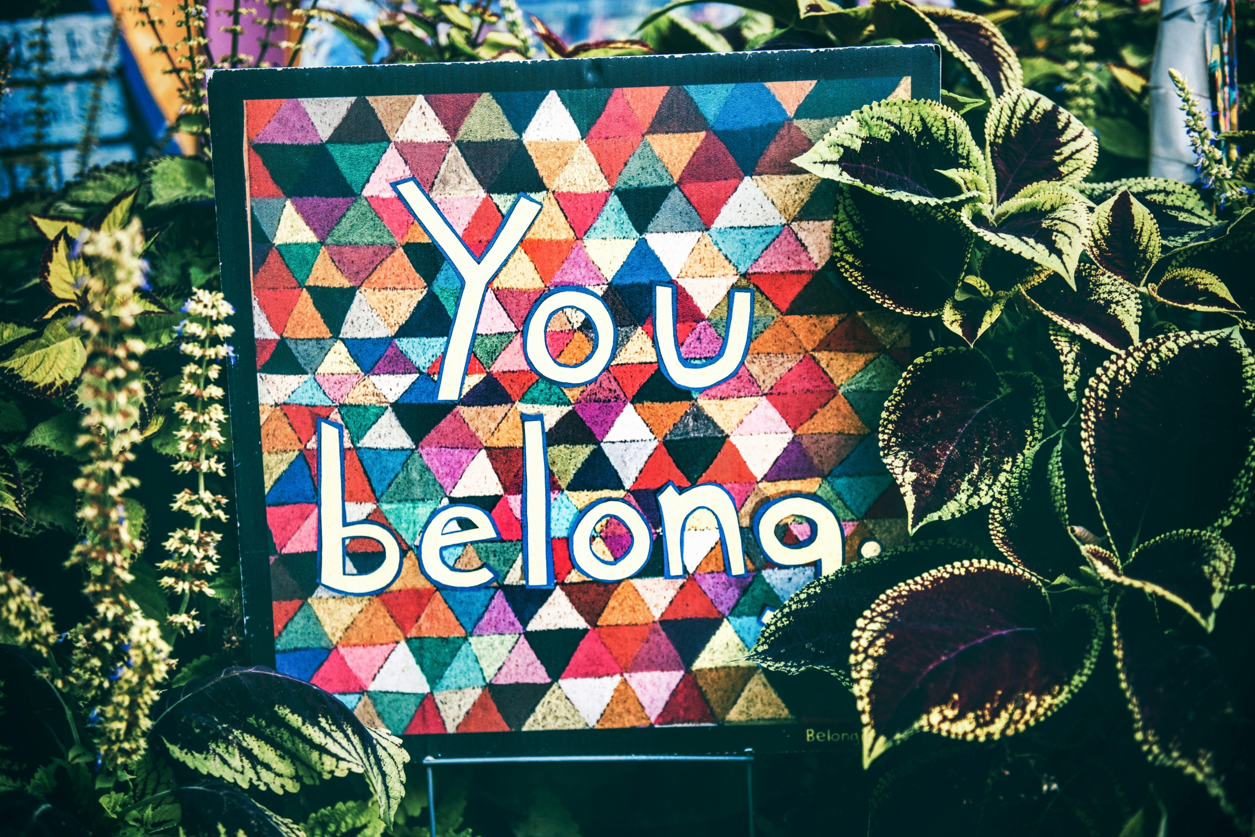 © Tim Mossholder via unsplash Picture of a sign "You belong" with leaves